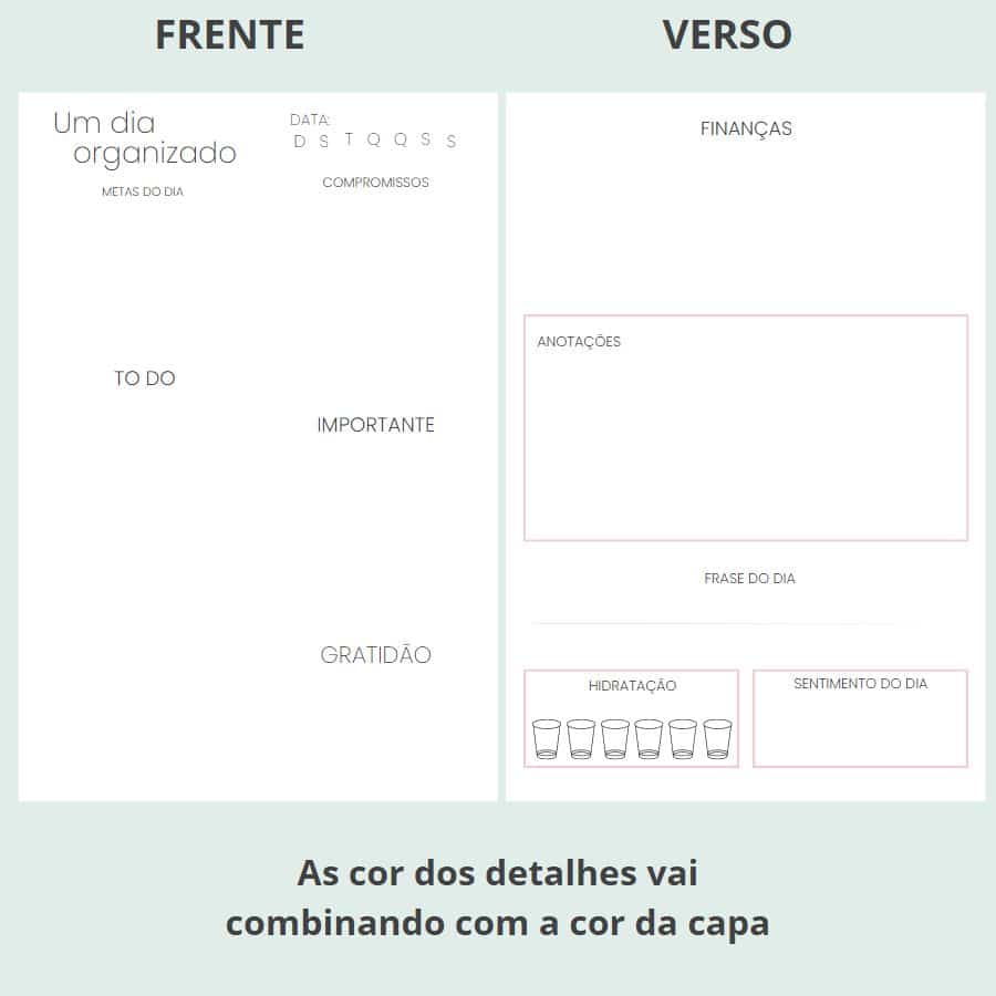 DIA ORGANIZADO